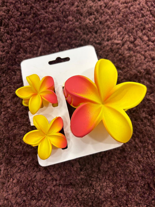 Flower Claw Clip Combo-3pc set