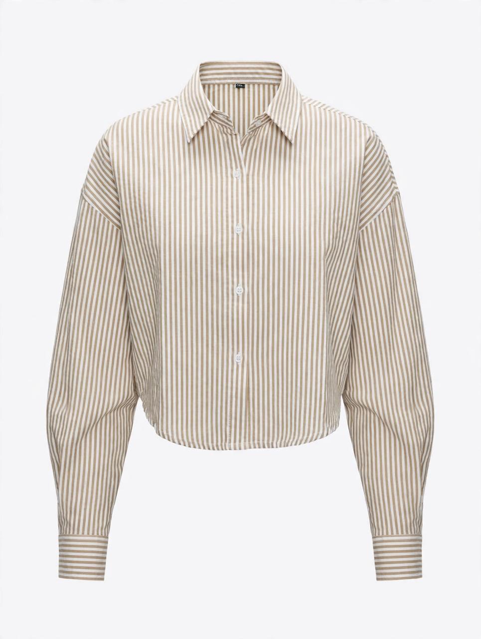 Stripes Crop Shirt